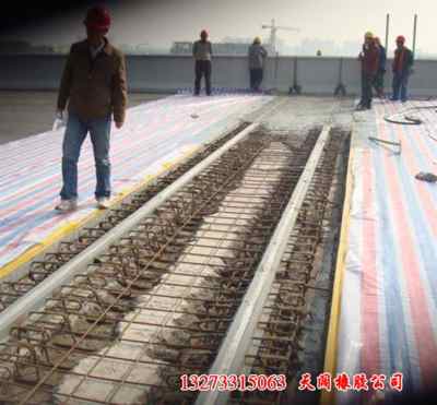 哈尔滨跨江立交升级 探访公路桥梁伸缩缝技术革新引领力量